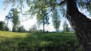 阳光明媚的乡村草地在山上，有绿草，树木和阳光。 运动滑块对角线运动